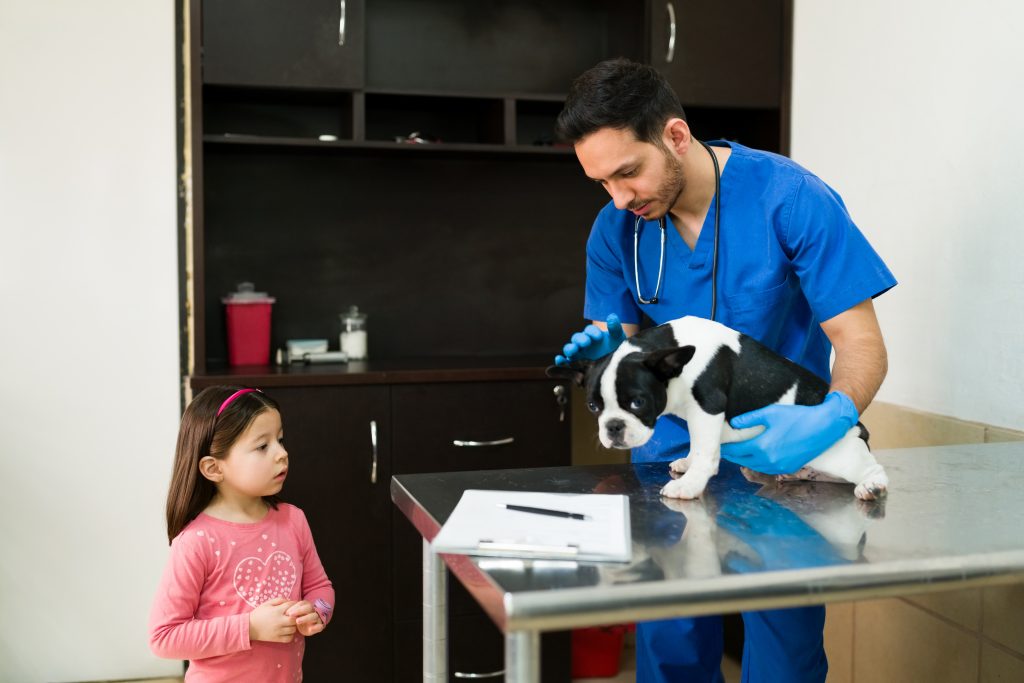 vet visits for your dog